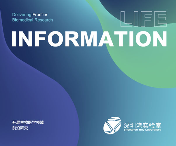 從潔凈之光，雕琢醫(yī)用包裝公司VI設(shè)計的“守護印記”